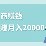 2020年最赚钱的副业，社交电商被动躺赚月入20000+，躺着就有收入（视频+文档）