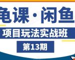 龟课·闲鱼项目玩法实战班第13期，轻松玩转闲鱼，多渠道多方法引流到私域流量池