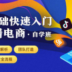 0基础快速入门直播电商课程：直播平台玩法解析-团队打造-带货全流程等环节