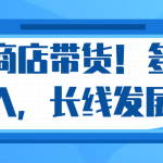 微信小商店带货，爆单多倍收入，长期复利循环！日赚300-800元不等