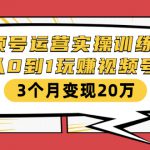 视频号运营实操训练营：从0到1玩赚视频号，3个月变现20万