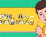 Paypal拉新赚美刀项目，单人一天利润500-1000刀【视频课程】