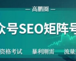 高鹏圈公众号SEO矩阵号群，实操20天纯收益25000+，普通人都能做