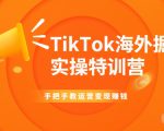 TikTok海外掘金实操特训营：手把手教运营变现赚钱