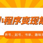 抖音小程序变现集训课，养号、起号、书单、趣味测试、视频剪辑，全套流程