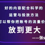 张sir账号流量增长课，告别海王流量，让你的流量更精准