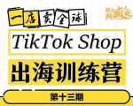 TikTokShop出海训练营（第十三期），打开全球流量新思维，出海抢占全球新流量，一店卖全球