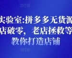 野路子实验室:拼多多无货源店群项目，新店破零，老店拯救等全方位教你打造店铺