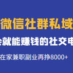 玩转微信社群私域带货，学会就能赚钱的社交电商，在家兼职副业再挣8000+