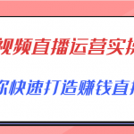 短视频直播运营实操班，直播带货精细化运营实操，教你快速打造赚钱直播间