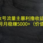 公众号流量主暴利撸收益项目，单人单号月稳赚5000+（价值480元）