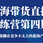 蓝海带货直播训练营第四期，把产品落脚在竞争不太大的蓝海产品上面（价值4980元）