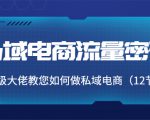 私域电商流量密码：千万级大佬教您如何做私域电商（12节课）