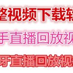 快手直播回放视频/虎牙直播回放视频完整下载(电脑软件+视频教程)