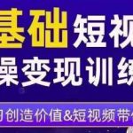 0基础短视频实操变现训练营，3大体系成就百万大V