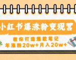 小红书爆涨粉变现营，教你打造爆款笔记，年涨粉20w+月入20w