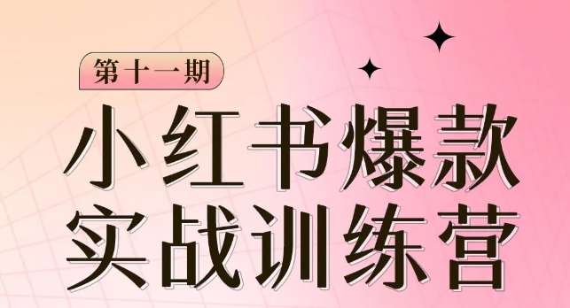 小红书博主爆款训练营第11期，手把手教你从0-1做小红书，从定位到起号到变现