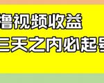 最新撸视频收益，三天之内必起号，一天保底100+【揭秘】