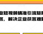 企业短视频精准引流矩阵获客，解决企业获客难题