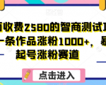 外面收费2580的智商测试项目，一条作品涨粉1000+，暴力起号涨粉赛道【揭秘】