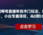 视频号直播带货冷门玩法，日入1000+，小白专属项目，从0到1实战教学【揭秘】