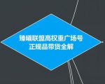 十万个富翁修炼宝典之7.绝版国学资料，操作3天就出单