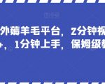 最新国外薅羊毛平台，2分钟视频收益50+，1分钟上手，保姆级教程【揭秘】