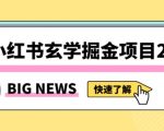 小红书玄学掘金项目，值得常驻的蓝海项目，日入3000+附带引流方法以及渠道【揭秘】