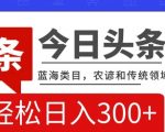 AI头条传统和农谚领域，蓝海类目，搬运+AI优化，轻松日入300+【揭秘】