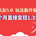 盲盒交友5.0，玩法全新升级，一个月直接变现1.3W，新手小白轻松上手【揭秘】