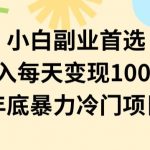 小白副业首选，0成本投入，每天变现1000-2000年底暴力冷门项目【揭秘】