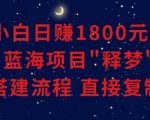 小白能日赚1800元的蓝海项目”释梦”0-1搭建流程可直接复制粘贴长期做【揭秘】