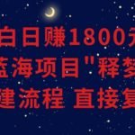 小白能日赚1800元的蓝海项目”释梦”0-1搭建流程可直接复制粘贴长期做【揭秘】