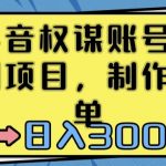 抖音权谋账号，长期项目，制作简单，日入300+【揭秘】