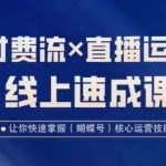 视频号付费流实操课程，付费流✖️直播运营速成课，让你快速掌握视频号核心运营技能