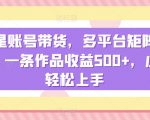 明星账号带货，多平台矩阵操作，一条作品收益500+，小白轻松上手【揭秘】