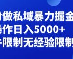 负债粉私域暴力掘金，小白操作入5000，无经验限制，无条件限制【揭秘】