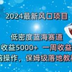 2024最新风口项目，低密度蓝海赛道，单日收益5000+，一周收益4w+！【揭秘】