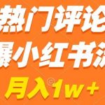 热门评论引爆小红书流量，作品制作简单，商单接到手软【揭秘】