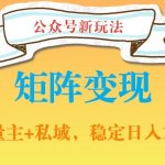 公众号软件玩法私域引流网盘拉新，多种变现，稳定日入1000【揭秘】