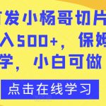 全网首发小杨哥切片IP3.0，日入500+，保姆级教学，小白可做【揭秘】