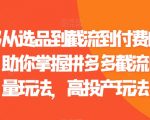 拼多多从选品到截流到付费的玩法技巧，助你掌握拼多多截流自然流量玩法，高投产玩法