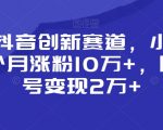 靠做抖音创新赛道，小白也能一个月涨粉10万+，回收账号变现2万+【揭秘】