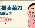 无人冷门品直播新玩法，通过卖菜刀日入1000+【揭秘】