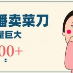 无人冷门品直播新玩法，通过卖菜刀日入1000+【揭秘】