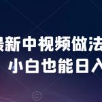 2024最新中视频做法保姆级教学，小白也能日入2000【揭秘】