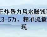 2024王炸暴力风水赚钱项目，月入过3-5万，精准流量引流变现【揭秘】