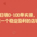 2024拼多多日销0-100单实操，让你迅速起步，做一个稳定盈利的店铺出来