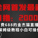 全网首发最新，日撸2000+，外面收费688的金杰猫直播间搭建，保姆级教程小白可操作【揭秘】