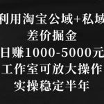 利用淘宝公域+私域差价掘金，日赚1000-5000元，工作室可放大操作，实操稳定半年【揭秘】